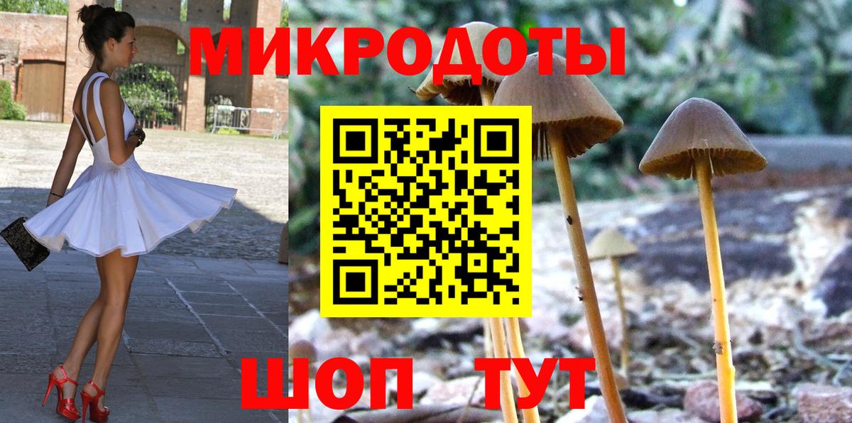 Псилоцибиновые грибы GOLDEN TEACHER Михайловск